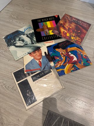 Lote 42 Vinilos Variados