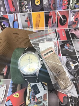 Reloj Sea-gull Edición Especial Militar