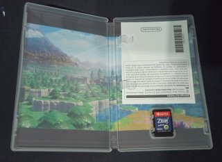 The Legend of Zelda: Echoes of Wisdom Switch