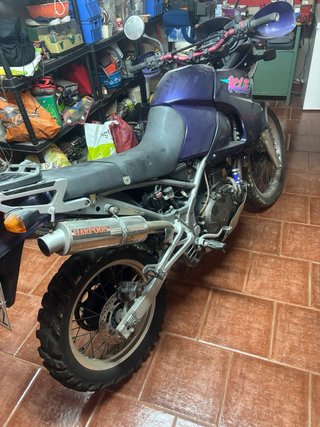Kawasaki KLE500 Azul/Morado