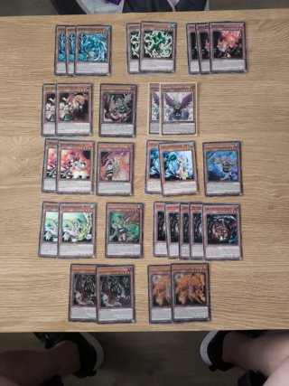 Cartas YuGiOh Colección Familiar y charmer