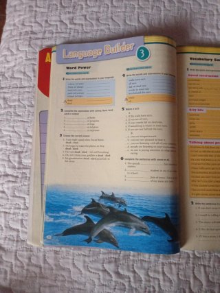 Advanced English in Use, 4 ESO, Workbook