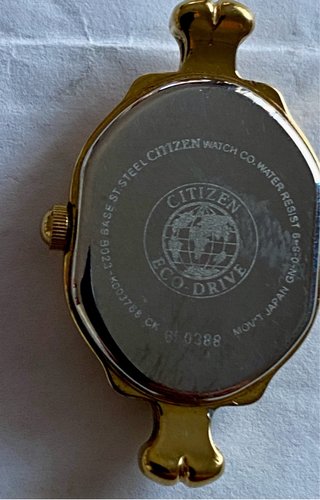 Relojes Seiko, Citizens, Casio con correa de cuero