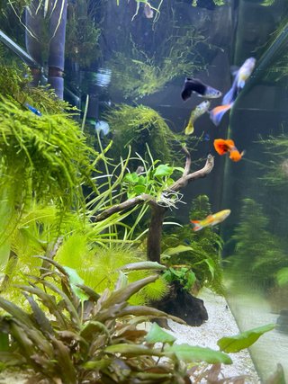 Pantalla LED 16W para acuario
