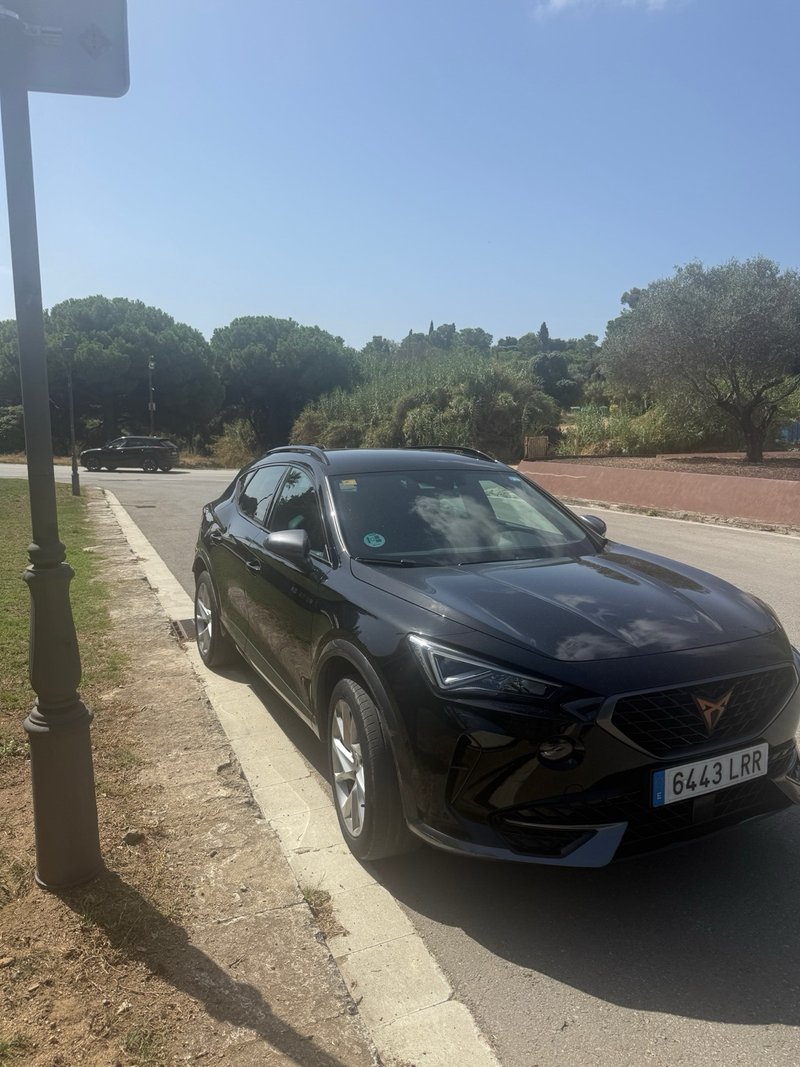 Cupra Formentor 1.5 TSI 2021, foto 3