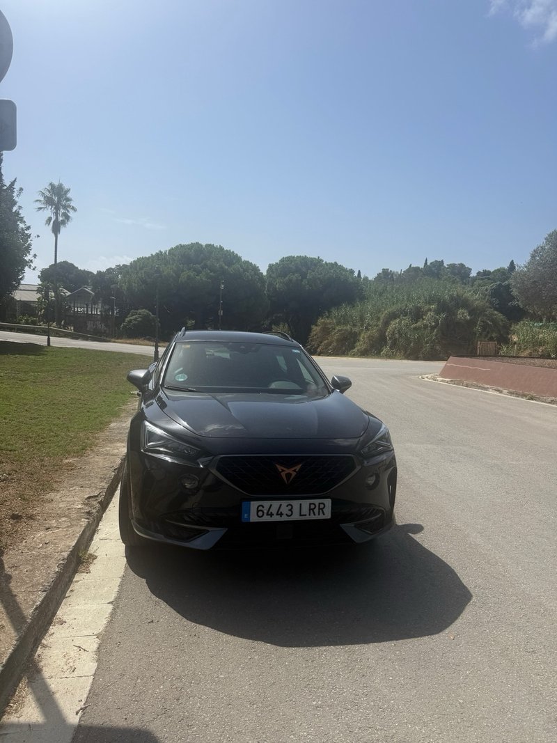 Cupra Formentor 1.5 TSI 2021, foto 2