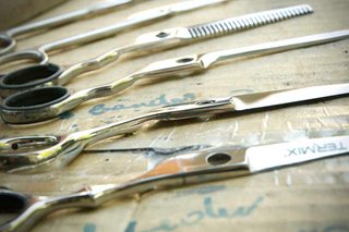Afiladora Profesional Tijeras Cuchillos Plato 180
