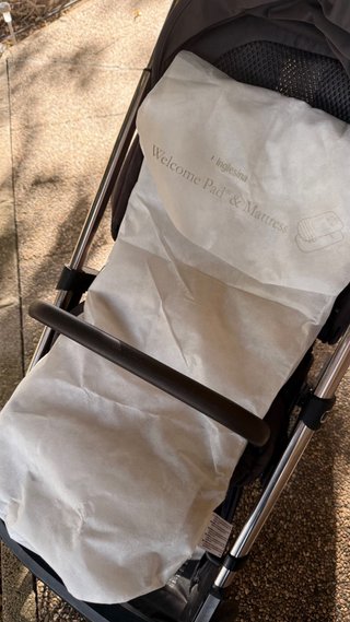 Inglesina Aptica 2024 Gris - Poco Uso