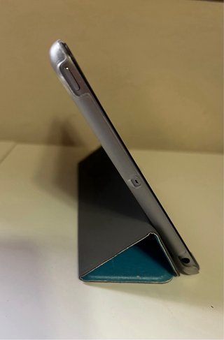 iPad mini 2 space