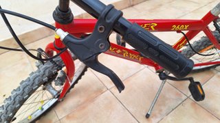 Bicicleta 20" (Infantil) Globe Trotter 260x