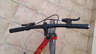Bicicleta 20" (Infantil) Globe Trotter 260x