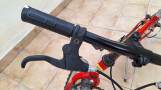 Bicicleta 20" (Infantil) Globe Trotter 260x