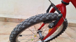 Bicicleta 20" (Infantil) Globe Trotter 260x