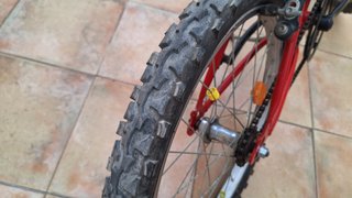 Bicicleta 20" (Infantil) Globe Trotter 260x