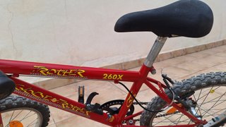 Bicicleta 20" (Infantil) Globe Trotter 260x