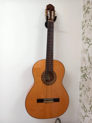 Guitarra Española Clásica
