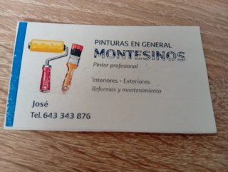 Pintor profesional