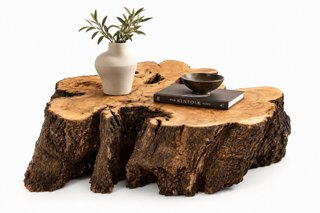 Coffee table / Mesa de centro de tronco de olivo