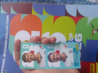 Cromos Mundial en PERFECTO ESTADO + Extra Sticker