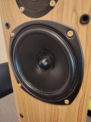 Altavoces TDL Special Edition