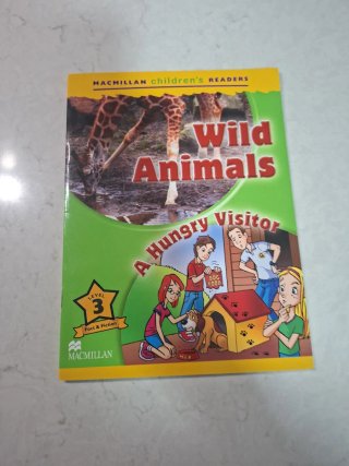 Libros Primaria Macmillan inglés leve 3