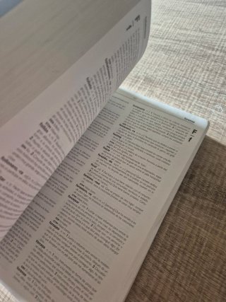 Diccionario lengua española secundaria
