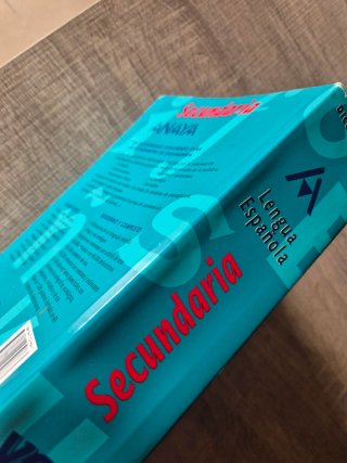 Diccionario lengua española secundaria