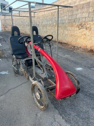 Risciò elettrico 4 posti