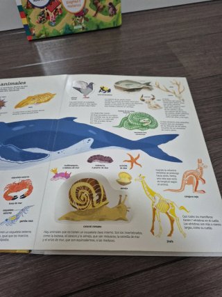 El gran libro de los animales Los enigmas de Lobo
