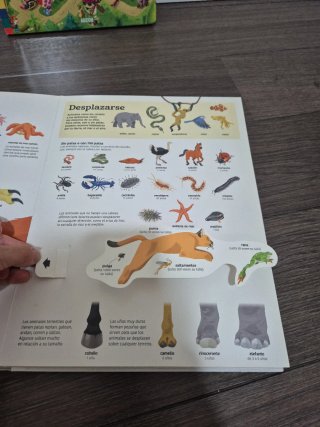 El gran libro de los animales Los enigmas de Lobo