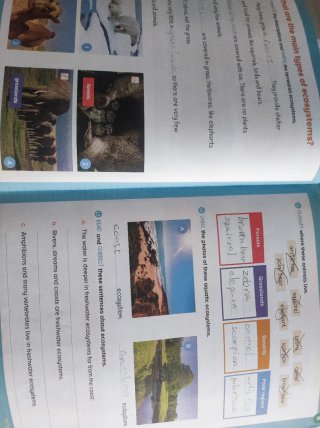 Natural and Social Science, 3 Primary, World Ma...