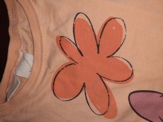 Lote 13 camisetas niña Talla 5/6
