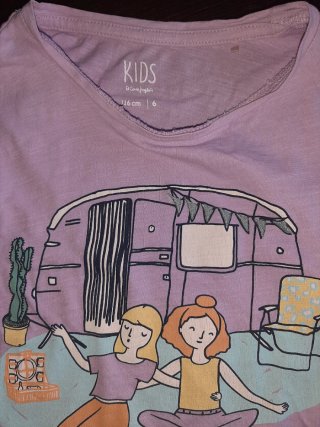 Lote 13 camisetas niña Talla 5/6