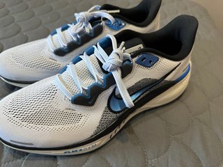 Zapatillas Nike Pegasus 41  Numero 44