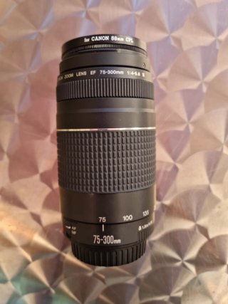 Objetivo Canon EF 75-300mm 1:4-5.6 CPL
