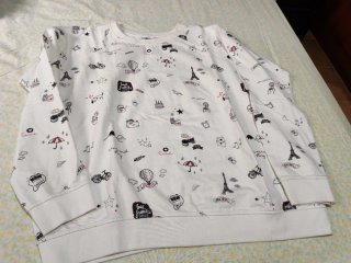 Lote 12 prendas mujer Talla L
