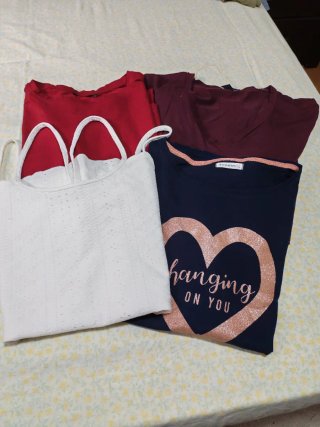 Lote 12 prendas mujer Talla L