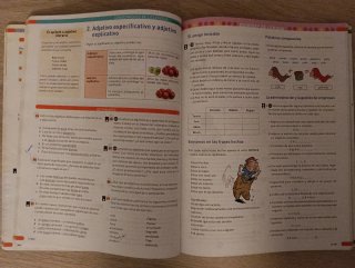 Lengua castellana y literatura 1, ESO