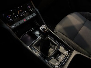 SKODA KAROQ 2.0 TDI AMBITION 4X4 DSG