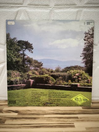 Vinilo The Waterboys Fisherman's Blues