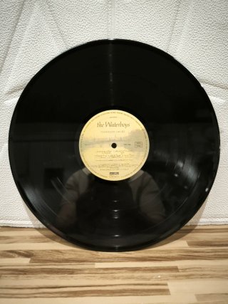 Vinilo The Waterboys Fisherman's Blues