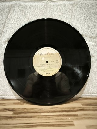 Vinilo The Waterboys Fisherman's Blues
