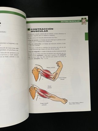 Atlas de Anatomía y Fisiología – CCC