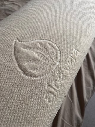 Almohada Aloe Vera 160cm