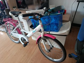 Bicicleta infantil 20 Flower