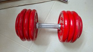 2 Mancuernas de 30 Kg cada una.