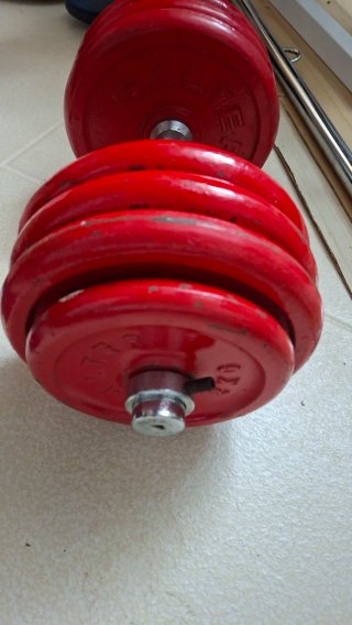 2 Mancuernas de 30 Kg cada una.