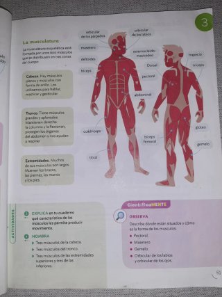 Ciencias de la Naturaleza, 5° primaria. Santillana