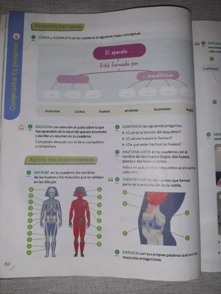 Ciencias de la Naturaleza, 5° primaria. Santillana
