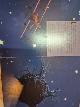 El Principito libro ilustrado de la película